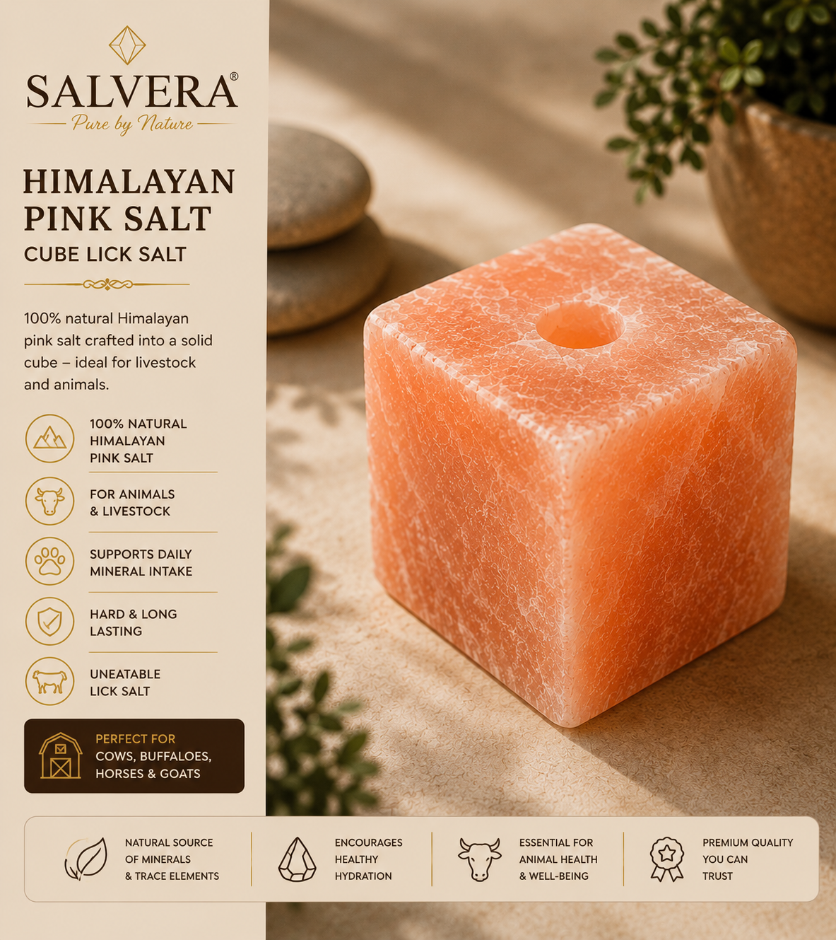 Animal Cube Licking Salt